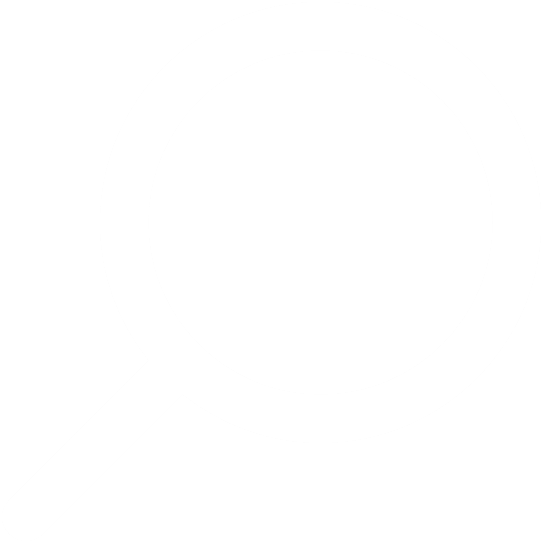magnifier